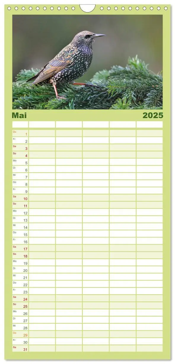 Bild: 9783457119488 | Familienplaner 2025 - Heimische Gartenvögel mit 5 Spalten...