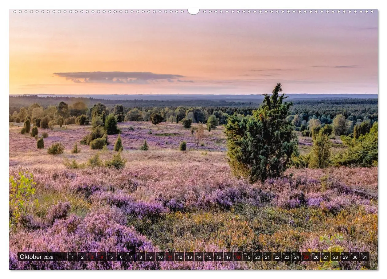 Bild: 9783457429488 | Die Lüneburger Heide - Faszination einer Naturlandschaft...