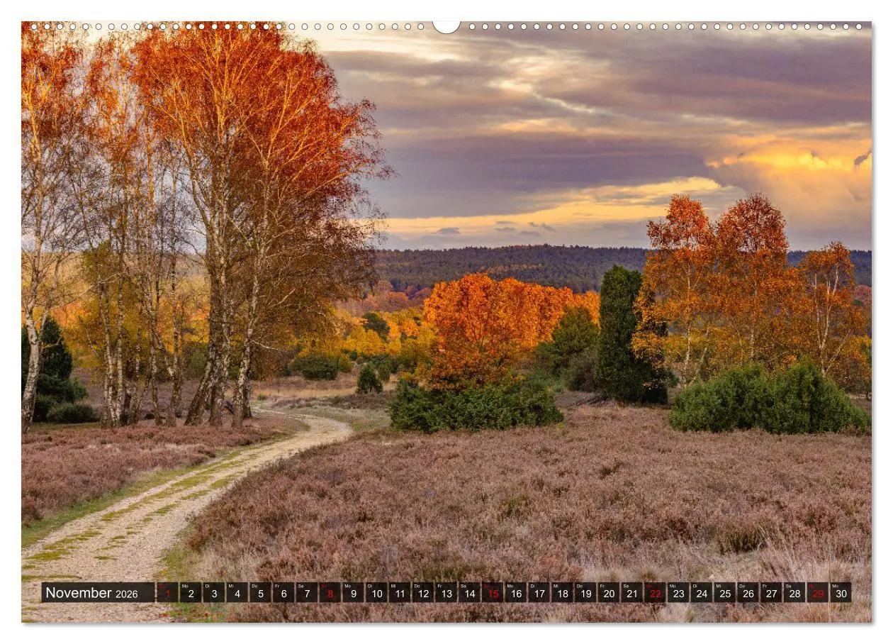 Bild: 9783457429488 | Die Lüneburger Heide - Faszination einer Naturlandschaft...