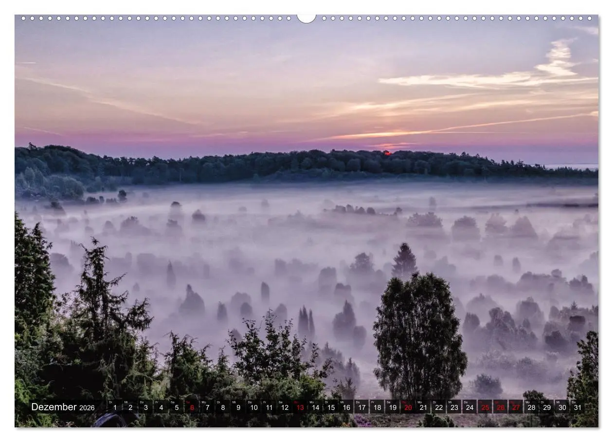 Bild: 9783457429488 | Die Lüneburger Heide - Faszination einer Naturlandschaft...