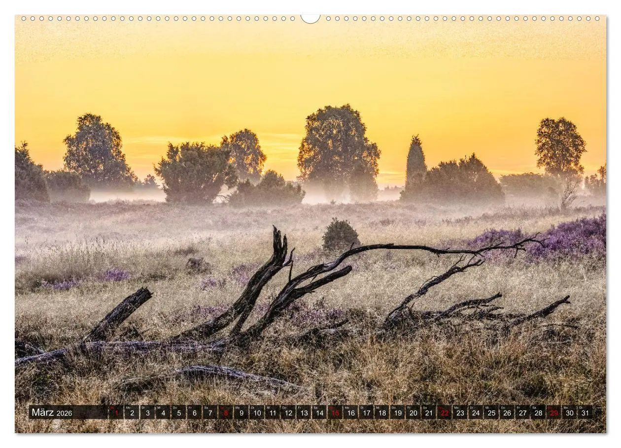 Bild: 9783457429488 | Die Lüneburger Heide - Faszination einer Naturlandschaft...