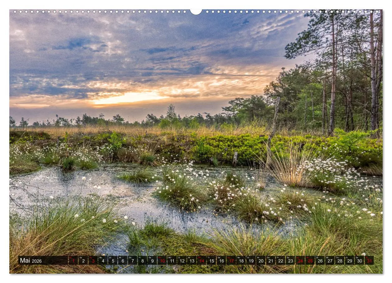 Bild: 9783457429488 | Die Lüneburger Heide - Faszination einer Naturlandschaft...