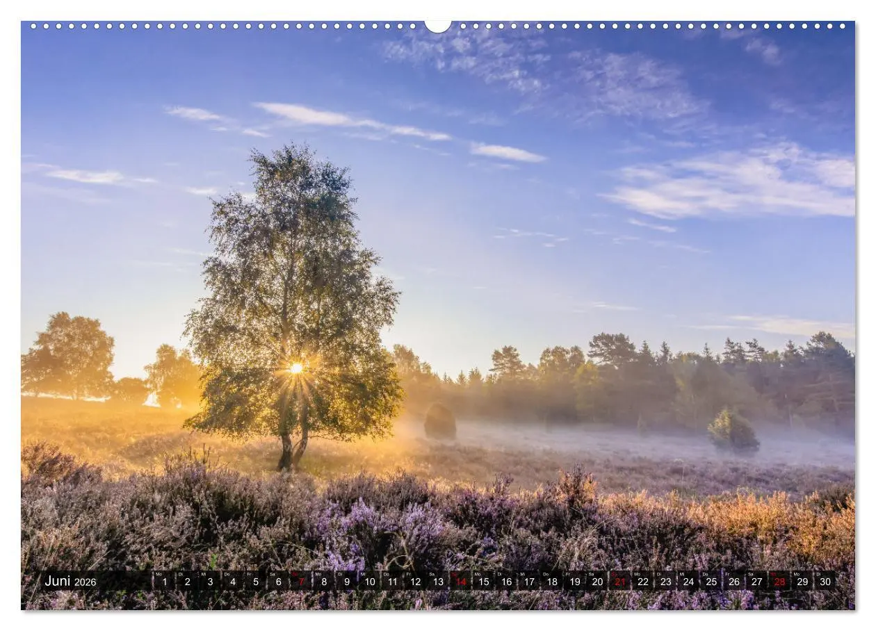 Bild: 9783457429488 | Die Lüneburger Heide - Faszination einer Naturlandschaft...