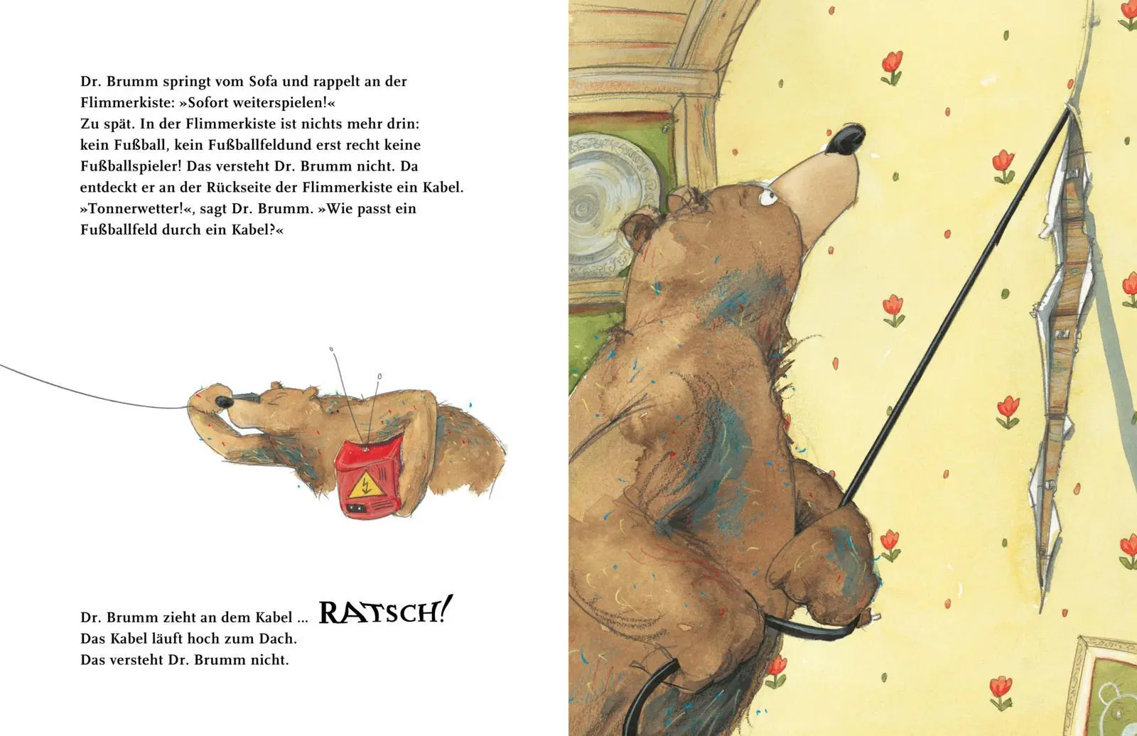 Bild: 9783522459488 | Dr. Brumm: Dr. Brumms verrückte Woche | Daniel Napp | Buch | Dr. Brumm