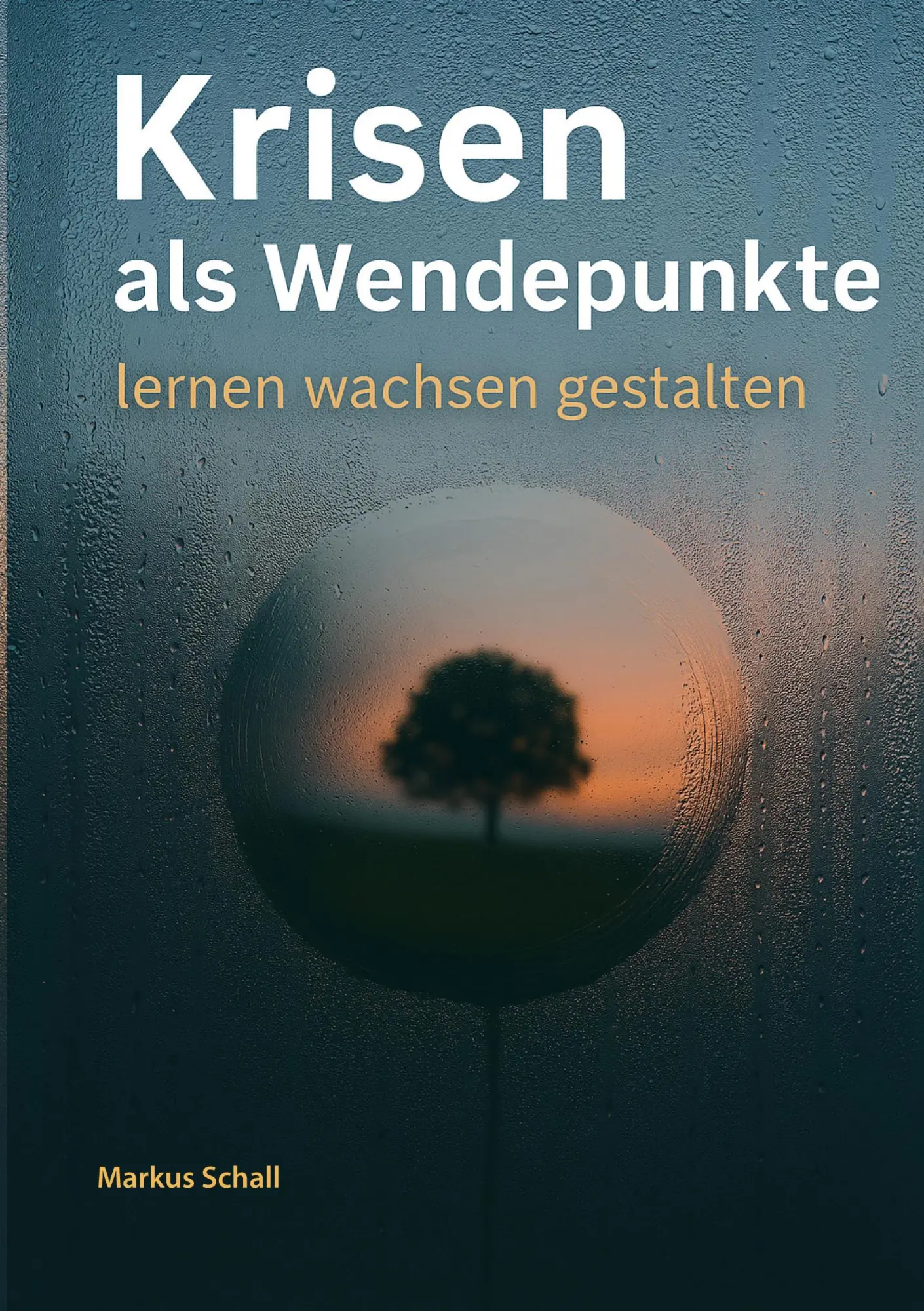 Cover: 9783819249488 | Krisen als Wendepunkte | lernen - wachsen - gestalten | Markus Schall