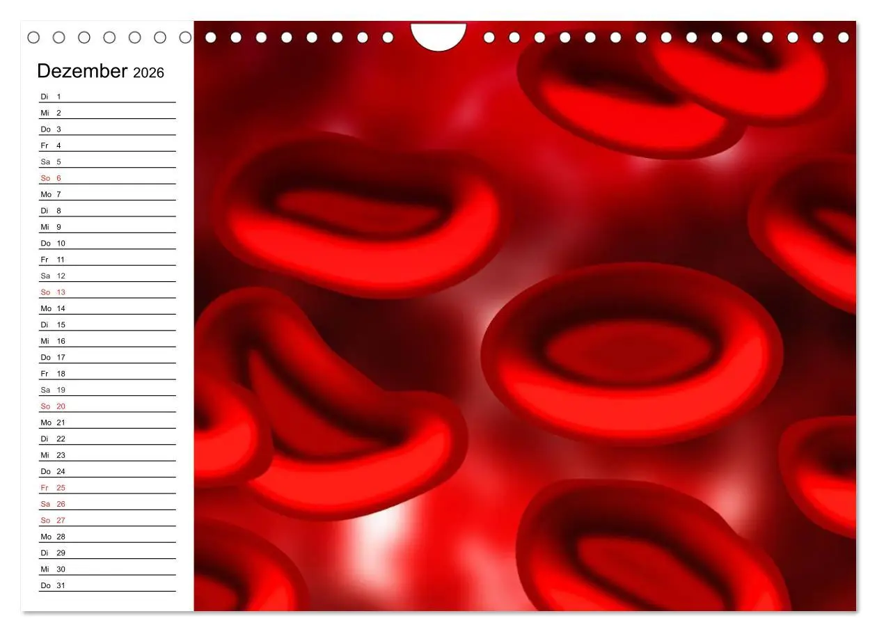 Bild: 9783457959688 | Mikrobiologie. Mikroorganismen, Genetik und Zellen (Wandkalender...