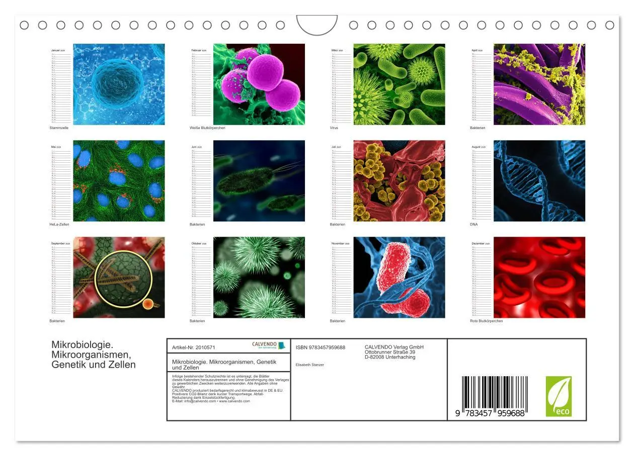 Bild: 9783457959688 | Mikrobiologie. Mikroorganismen, Genetik und Zellen (Wandkalender...