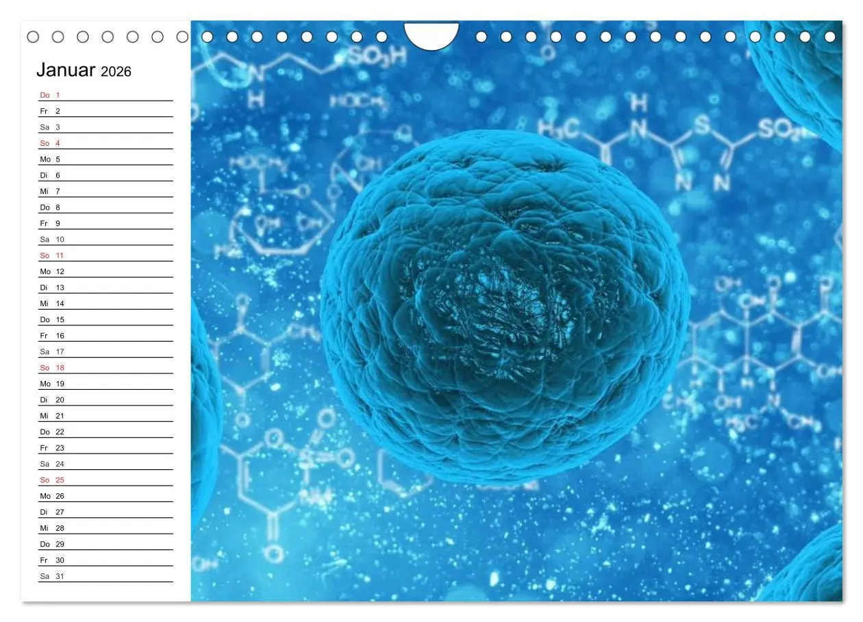 Bild: 9783457959688 | Mikrobiologie. Mikroorganismen, Genetik und Zellen (Wandkalender...