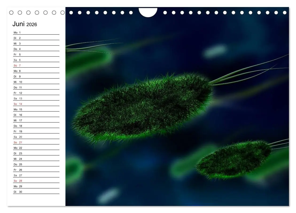 Bild: 9783457959688 | Mikrobiologie. Mikroorganismen, Genetik und Zellen (Wandkalender...