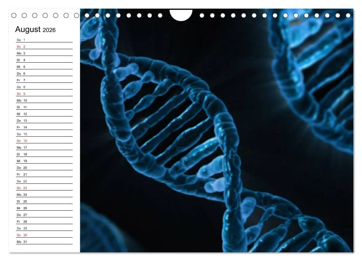 Bild: 9783457959688 | Mikrobiologie. Mikroorganismen, Genetik und Zellen (Wandkalender...