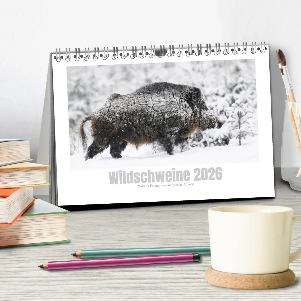 Bild: 9783457569788 | Wildschweine - Wildlife Fotografien (Tischkalender 2026 DIN A5...