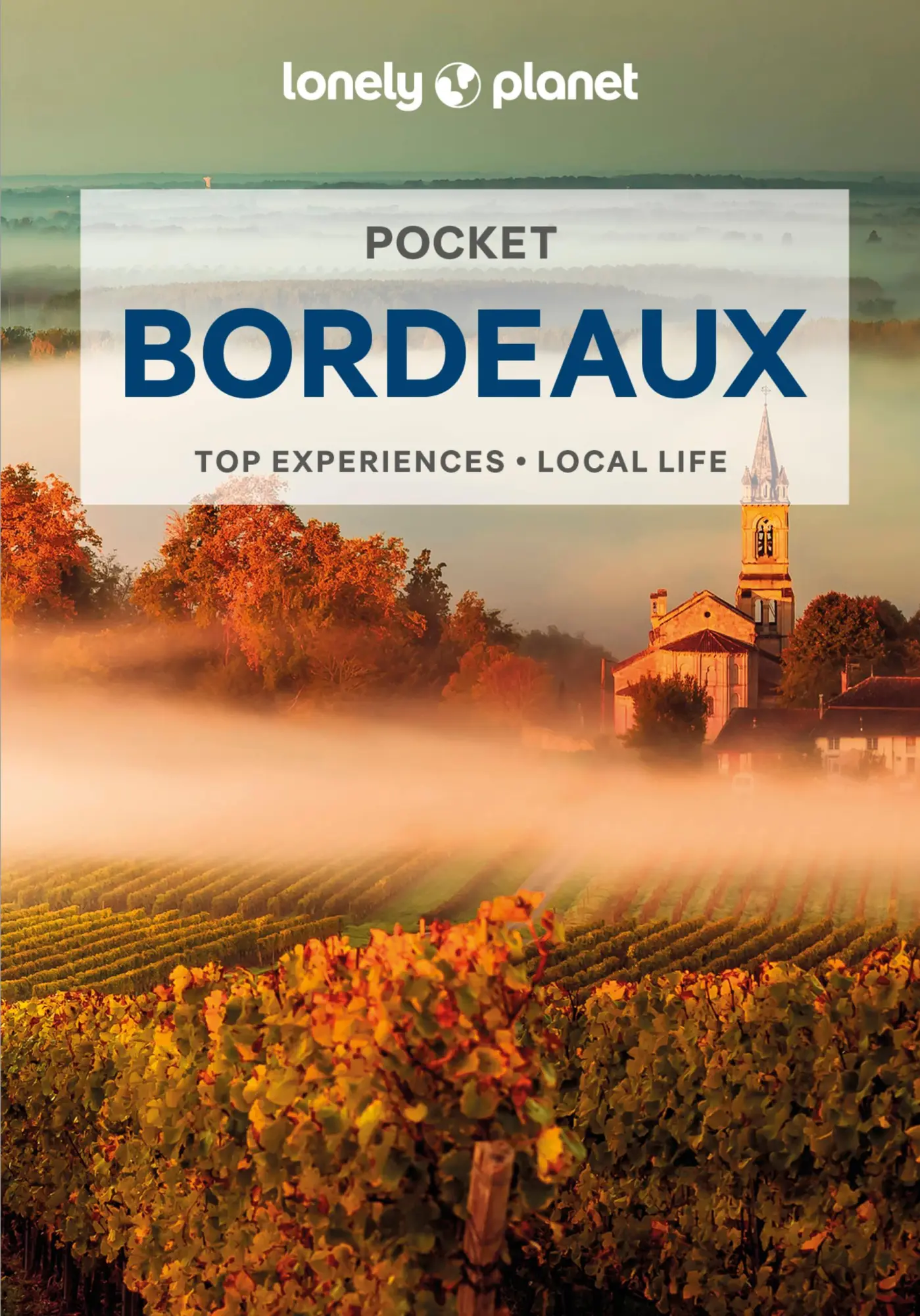 Cover: 9781838699888 | Pocket Bordeaux | Nicola Williams | Taschenbuch | 160 S. | Englisch
