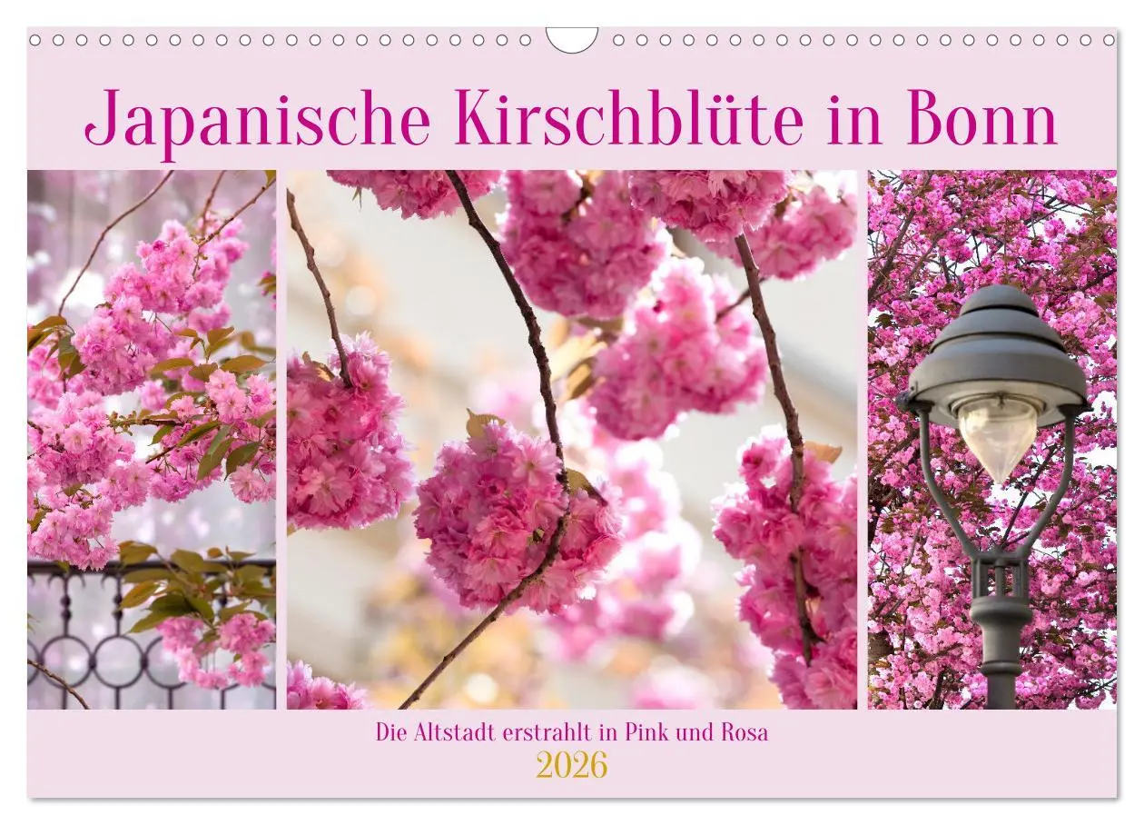 Cover: 9783457559888 | Japanische Kirschblüte in Bonn (Wandkalender 2026 DIN A3 quer),...