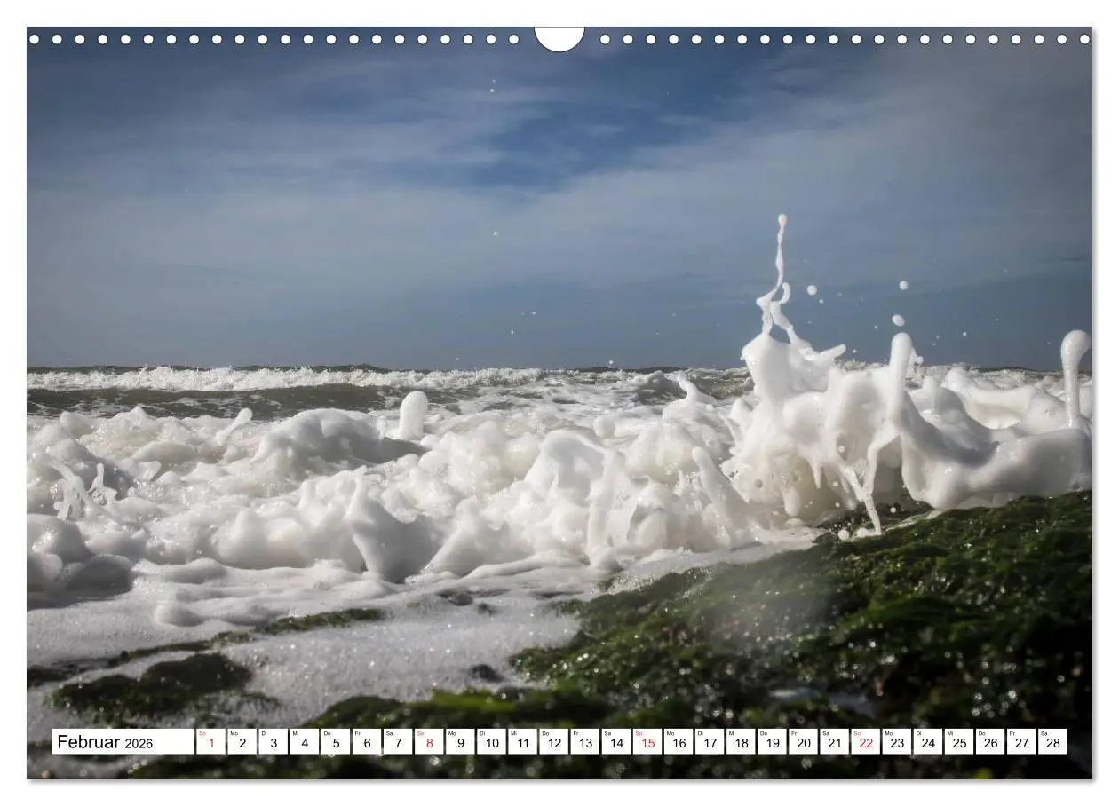 Bild: 9783516029888 | Callantsoog (Wandkalender 2026 DIN A3 quer), CALVENDO Monatskalender