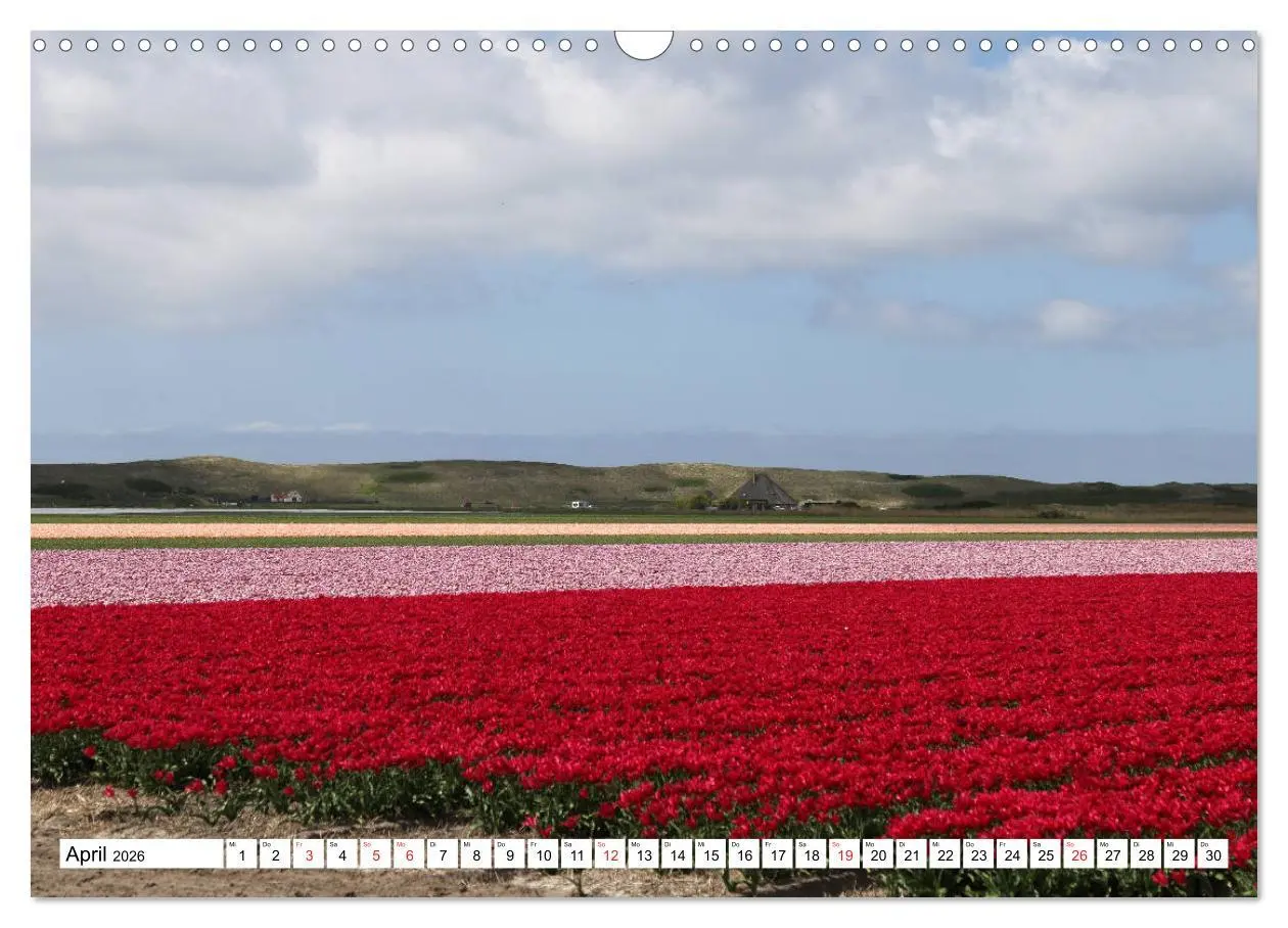 Bild: 9783516029888 | Callantsoog (Wandkalender 2026 DIN A3 quer), CALVENDO Monatskalender