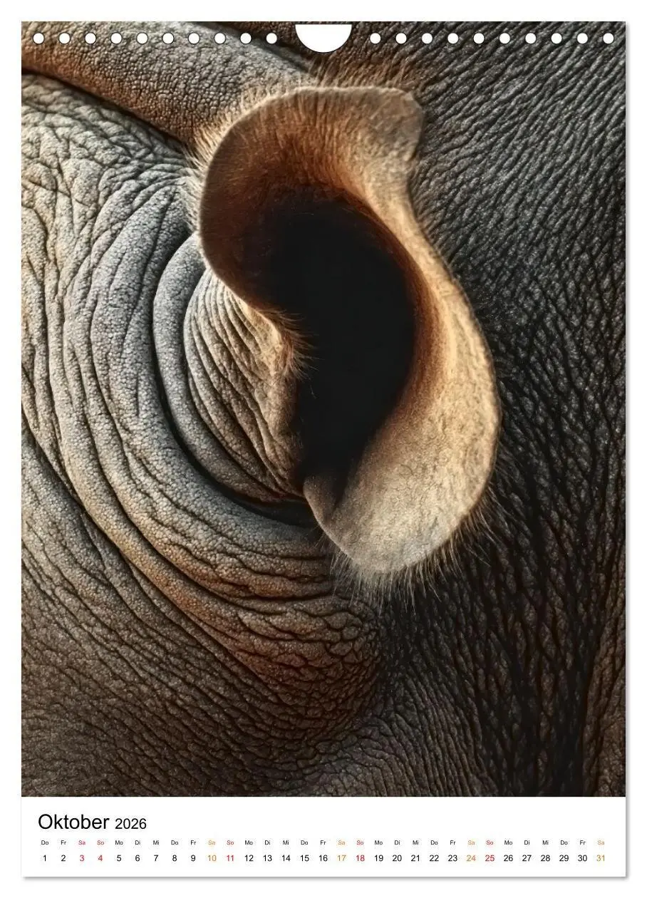 Bild: 9783516719888 | Nashorn - Stark. Stur. Schnell. (Wandkalender 2026 DIN A4 hoch),...