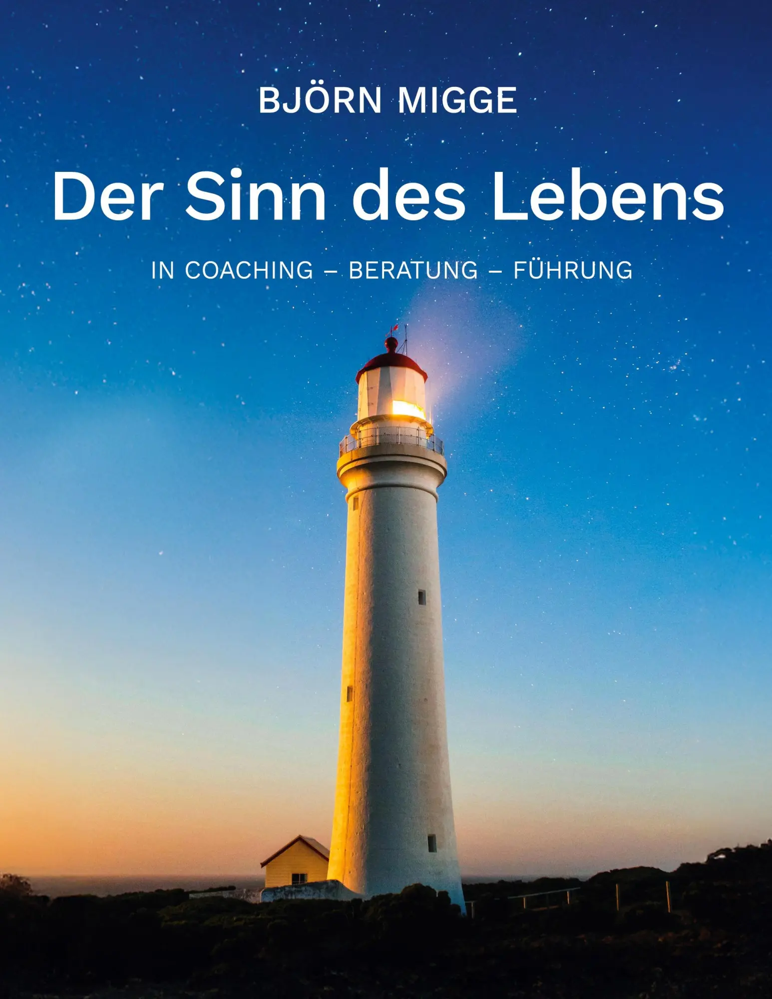 Cover: 9783819299988 | Der Sinn des Lebens | In Coaching - Beratung - Führung | Björn Migge