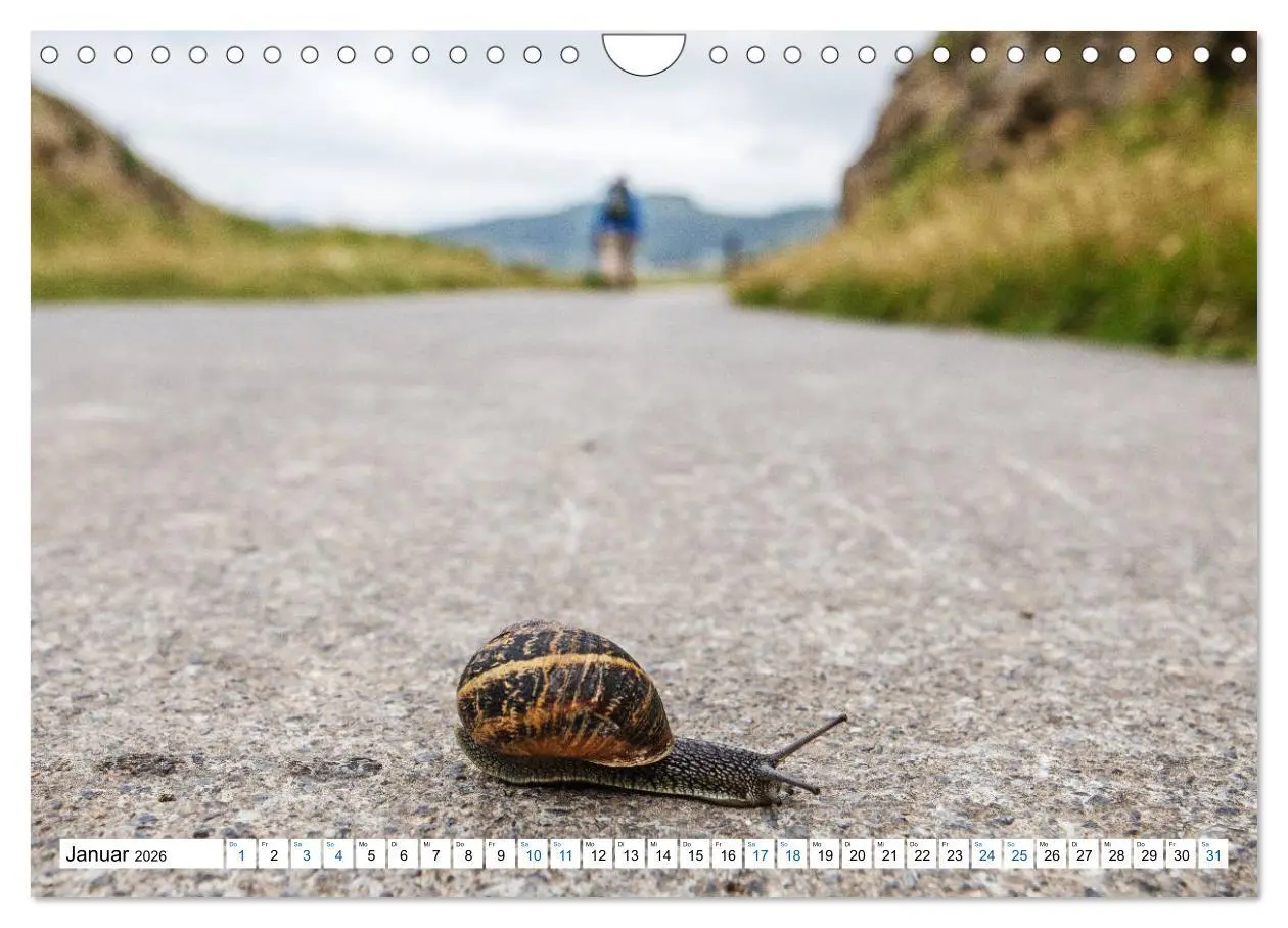 Bild: 9783457800089 | Der nördliche Jakobsweg (Wandkalender 2026 DIN A4 quer), CALVENDO...