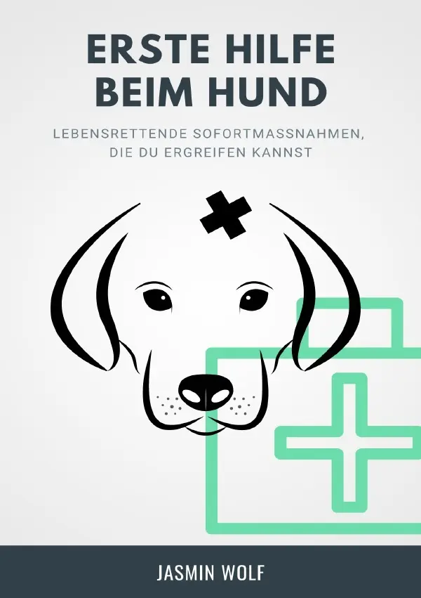 Cover: 9783754110089 | Erste Hilfe beim Hund | Jasmin Wolf | Taschenbuch | 80 S. | Deutsch