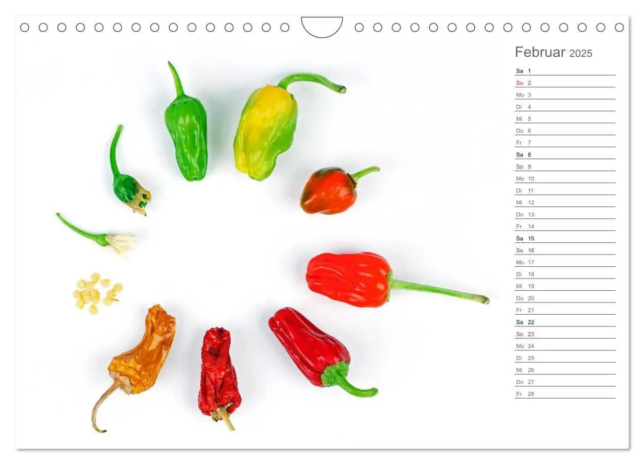 Bild: 9783435560189 | Echt scharf - Der Chili-Küchen-Planer (Wandkalender 2025 DIN A4...