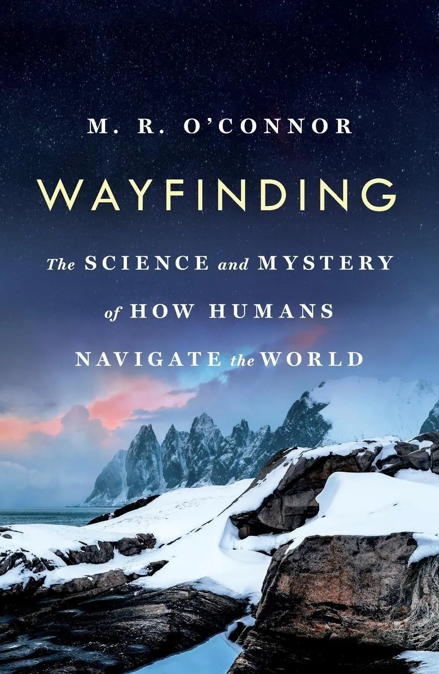 Cover: 9781250380289 | Wayfinding | M. R. O'Connor | Taschenbuch | Englisch | 2019 | Griffin