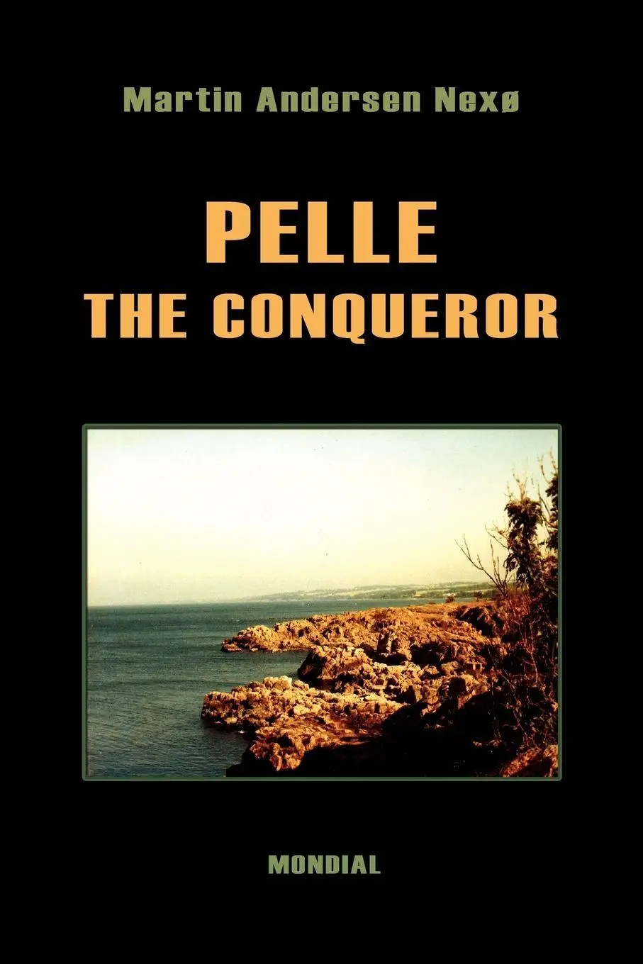 Cover: 9781595690289 | Pelle the Conqueror | Martin Andersen Nexo | Taschenbuch | Englisch