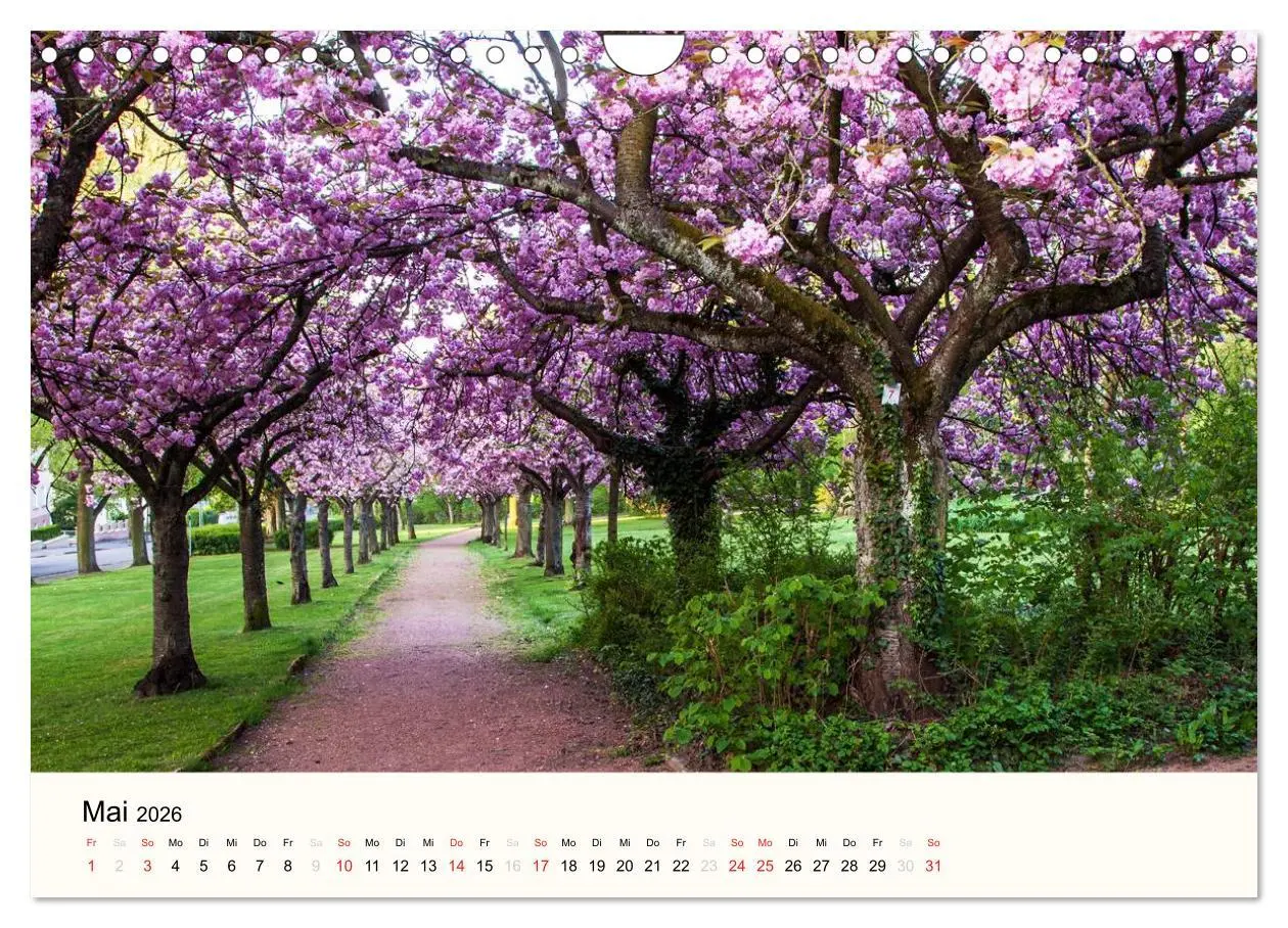 Bild: 9783516040289 | Völklingen. Im Schatten des Weltkulturerbes (Wandkalender 2026 DIN...