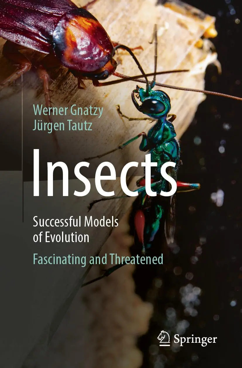 Cover: 9783662710289 | Insects - Successful Models of Evolution | Fascinating and Threatened