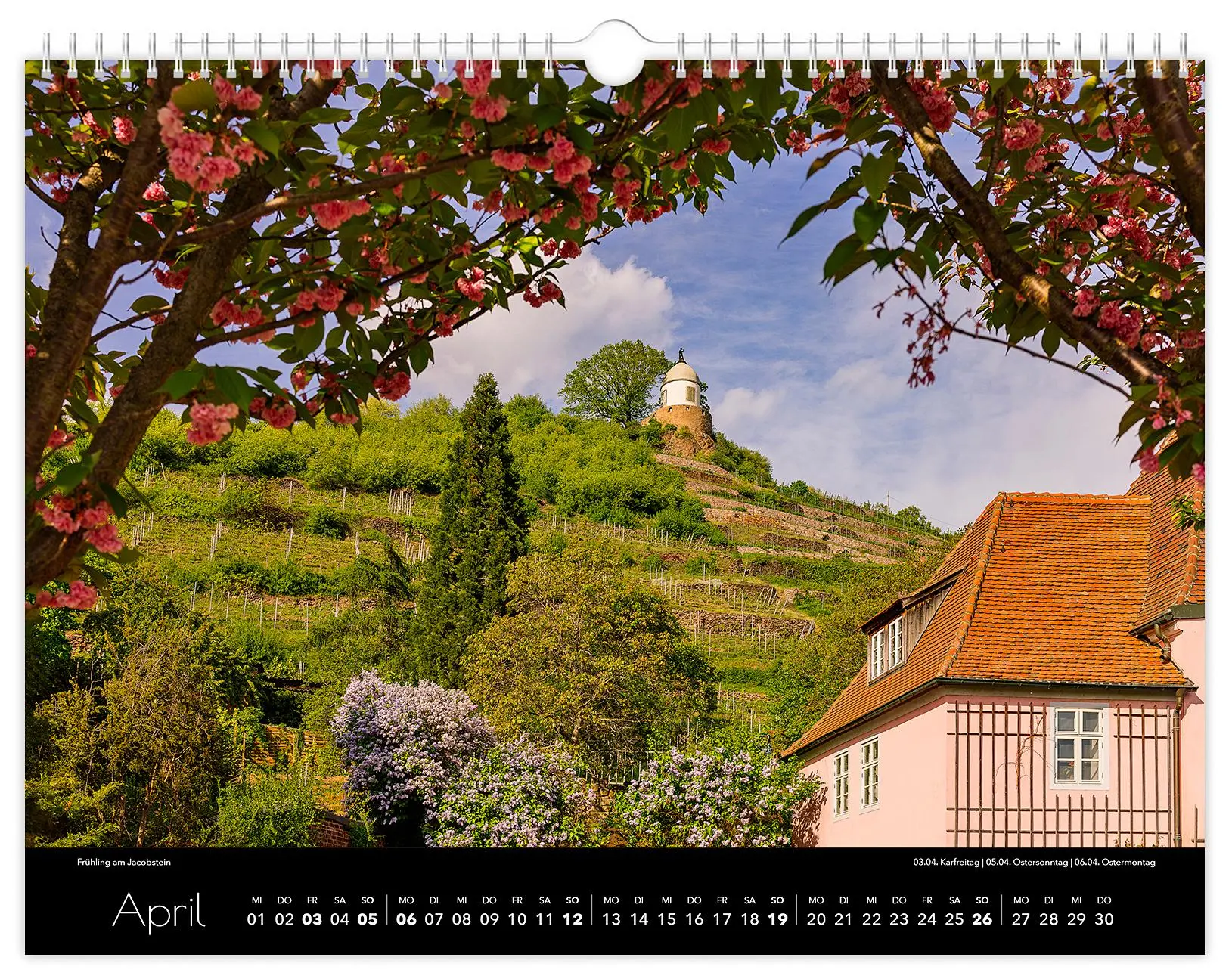 Bild: 9783910680289 | Kalender Radebeul 2026 | 40 x 30 cm schwarzes Kalendarium | Schubert