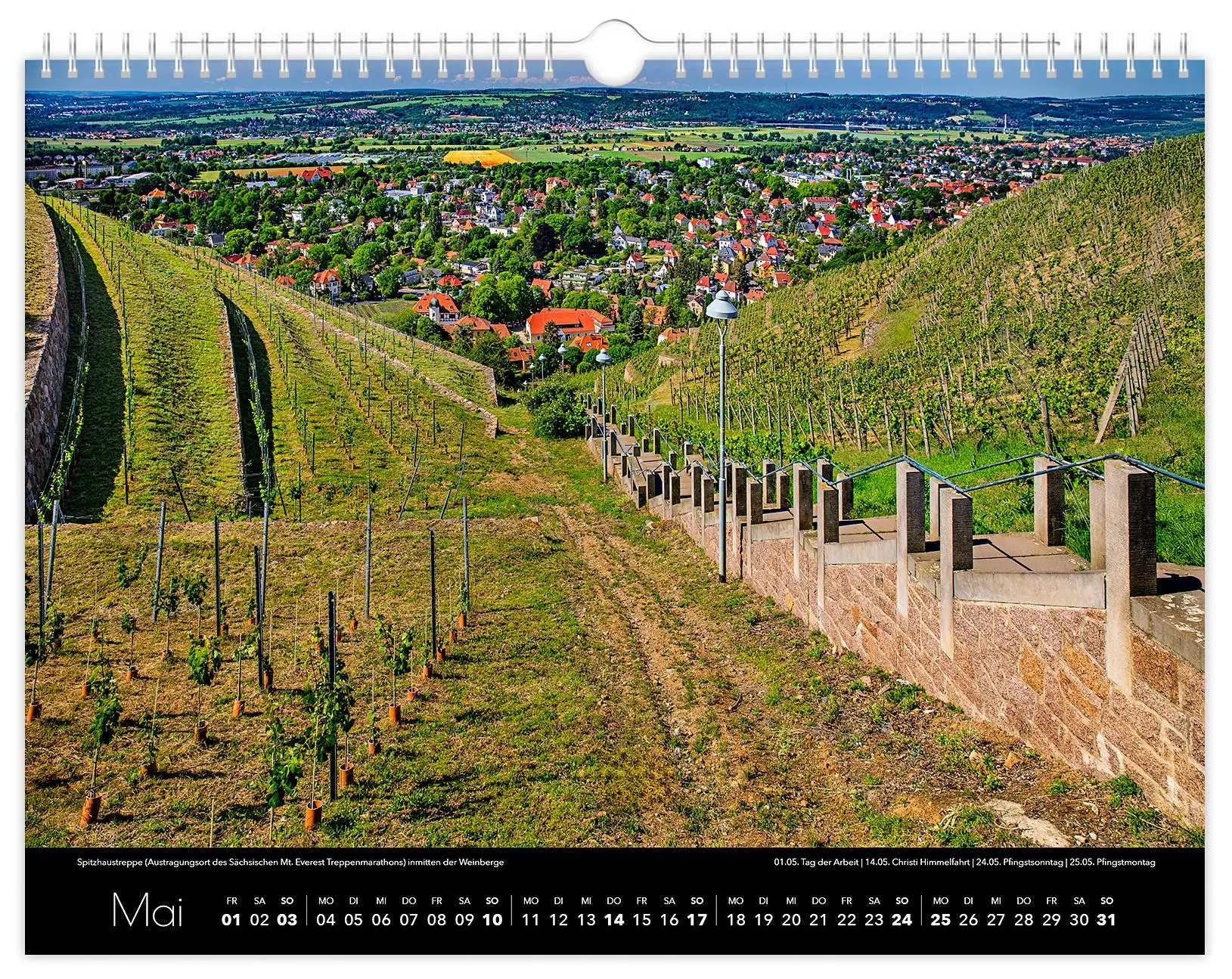 Bild: 9783910680289 | Kalender Radebeul 2026 | 40 x 30 cm schwarzes Kalendarium | Schubert