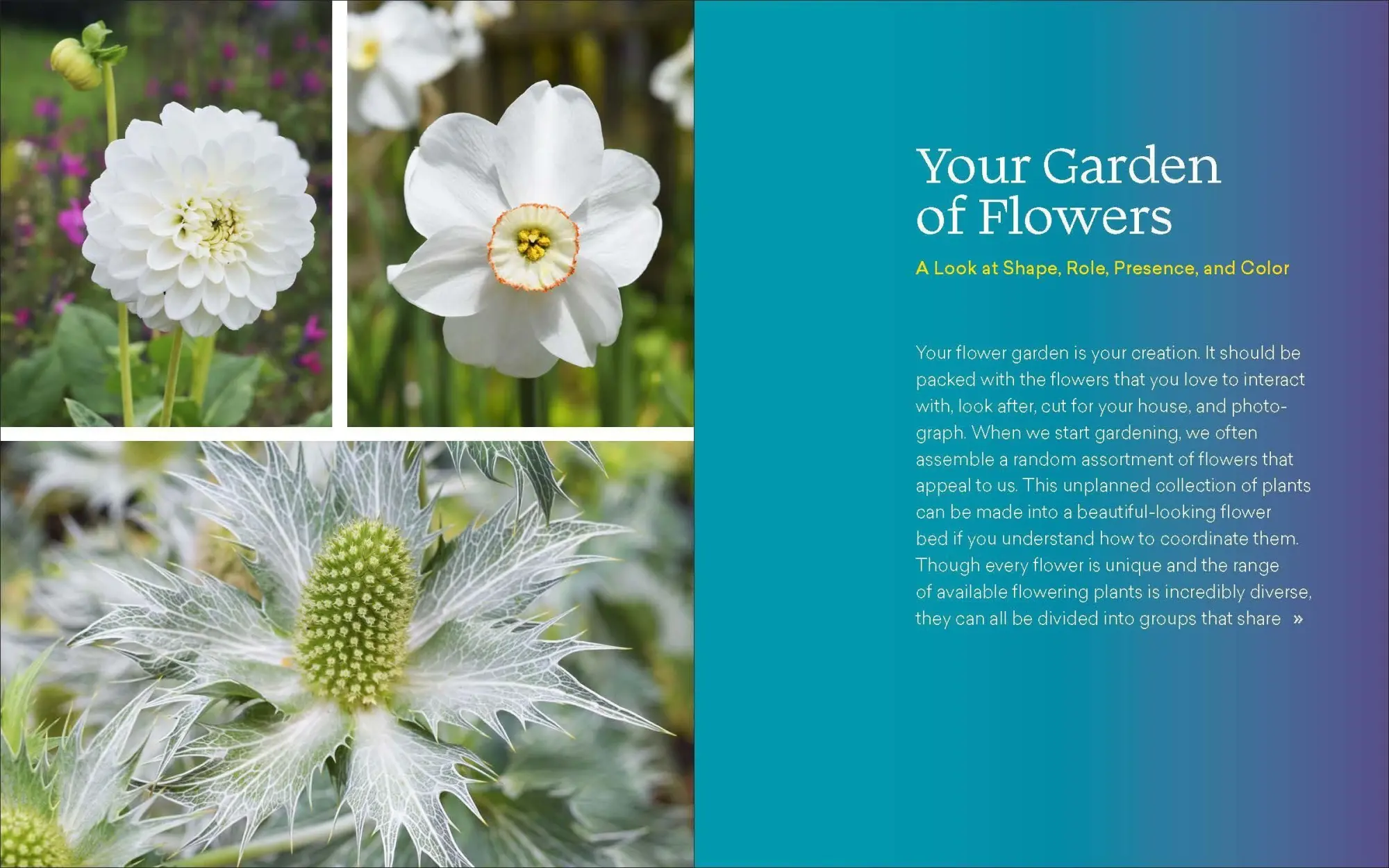 Bild: 9781643260389 | The Ultimate Flower Gardener's Guide | Jenny Rose Carey | Taschenbuch