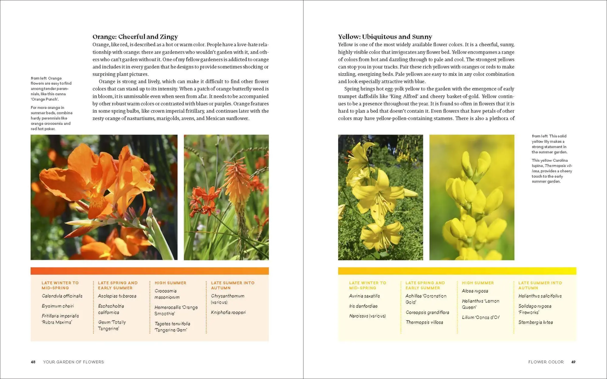 Bild: 9781643260389 | The Ultimate Flower Gardener's Guide | Jenny Rose Carey | Taschenbuch