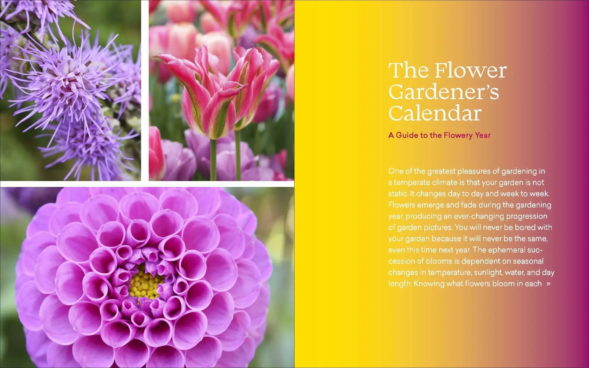 Bild: 9781643260389 | The Ultimate Flower Gardener's Guide | Jenny Rose Carey | Taschenbuch