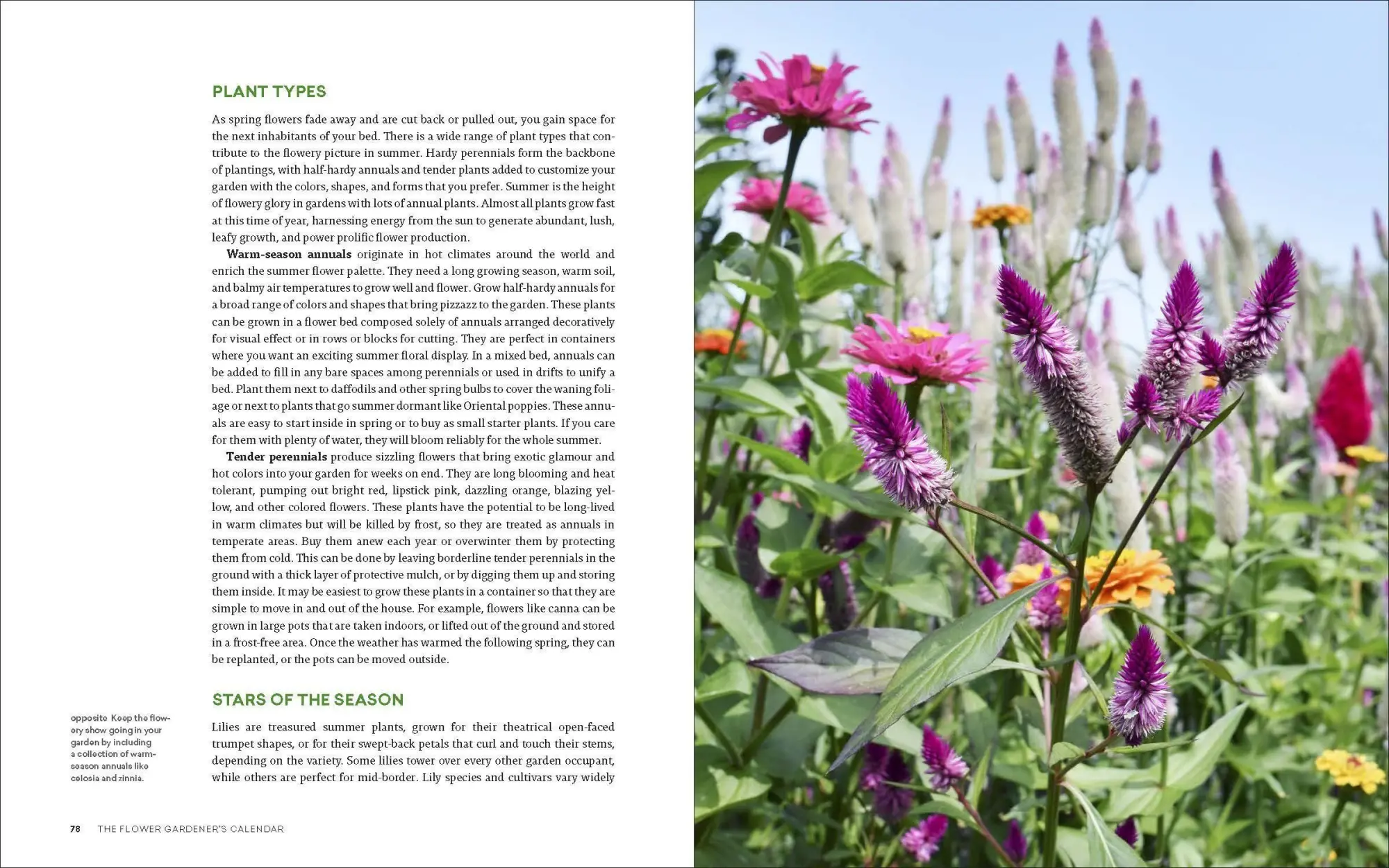 Bild: 9781643260389 | The Ultimate Flower Gardener's Guide | Jenny Rose Carey | Taschenbuch