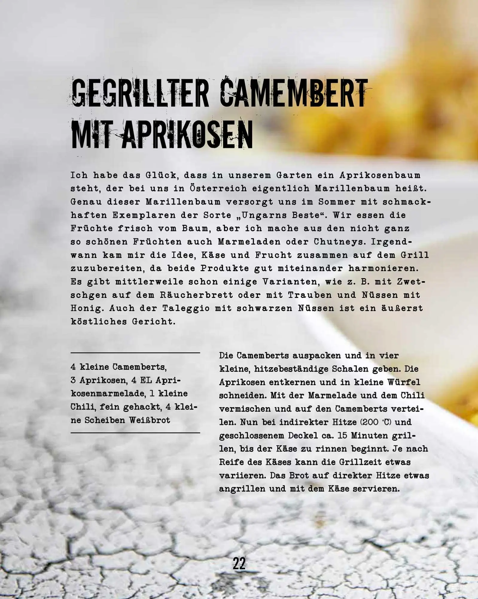 Bild: 9783958430389 | Vegetarisch Grillen | Gemüse rockt! | Tom Heinzle | Buch | 200 S.