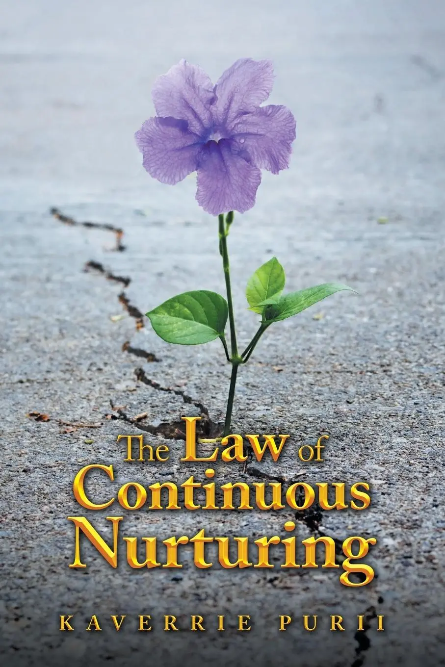 Cover: 9781543710489 | The Law of Continuous Nurturing | Kaverrie Purii | Taschenbuch | 2025