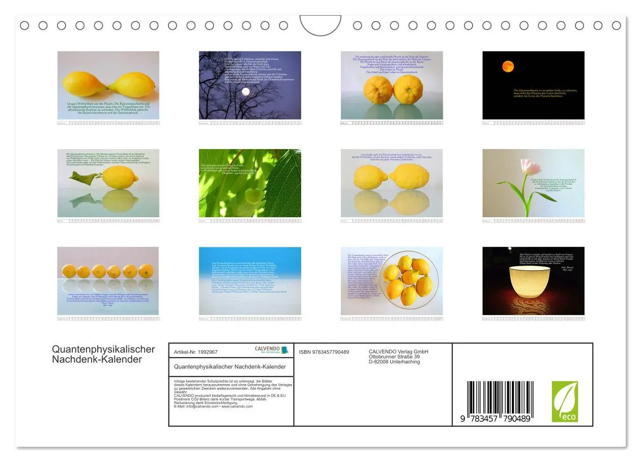 Bild: 9783457790489 | Quantenphysikalischer Nachdenk-Kalender (Wandkalender 2026 DIN A4...