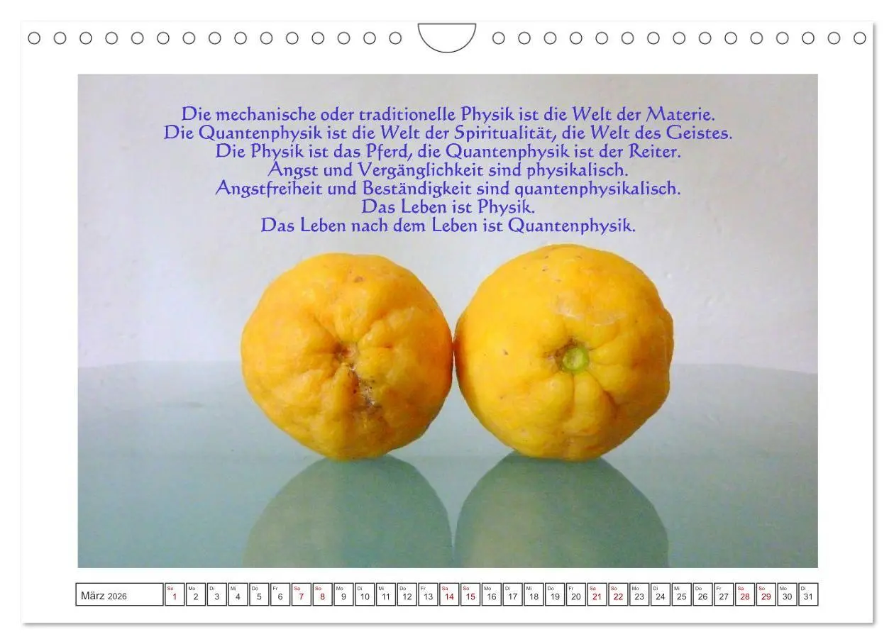 Bild: 9783457790489 | Quantenphysikalischer Nachdenk-Kalender (Wandkalender 2026 DIN A4...
