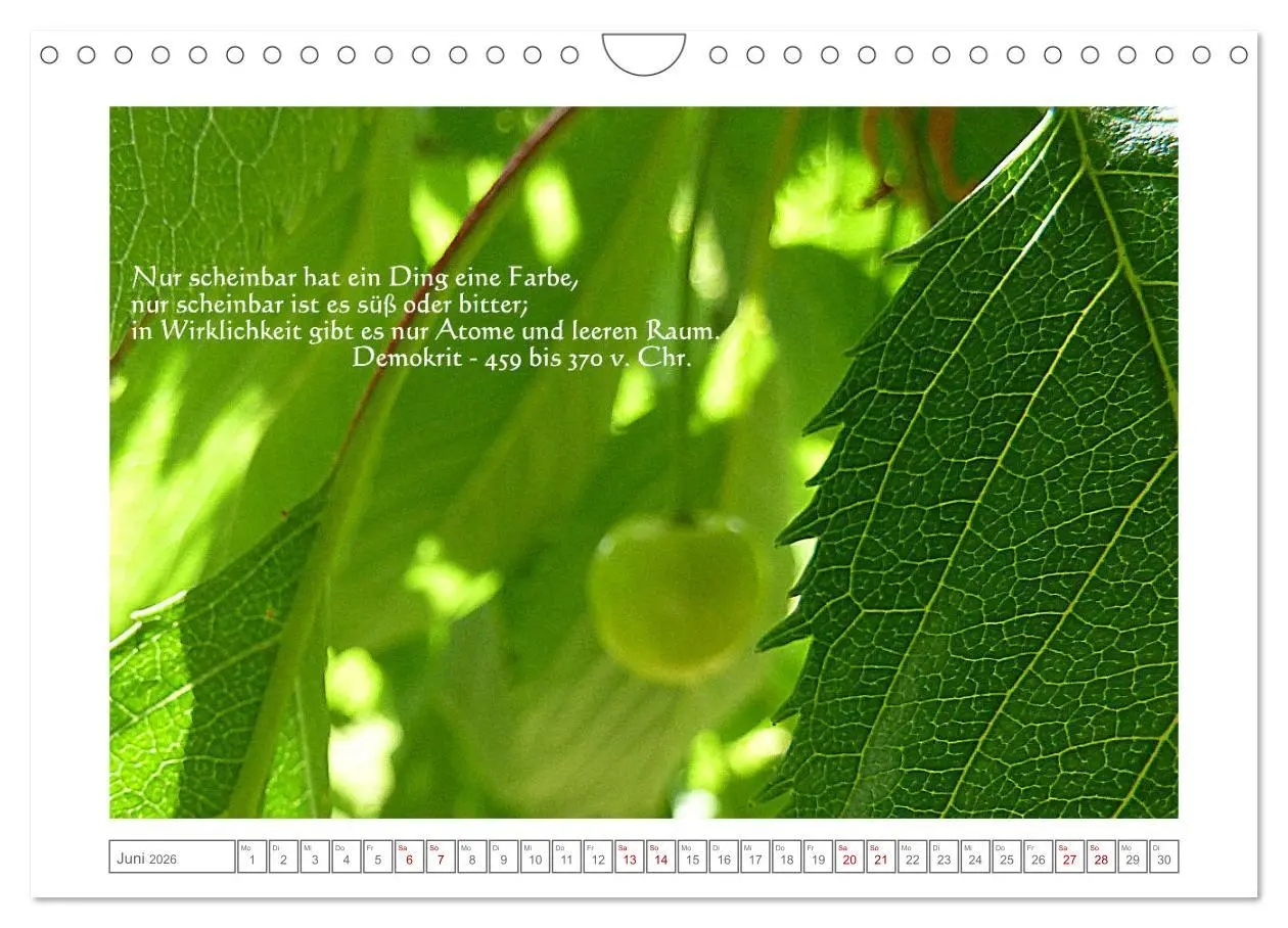 Bild: 9783457790489 | Quantenphysikalischer Nachdenk-Kalender (Wandkalender 2026 DIN A4...