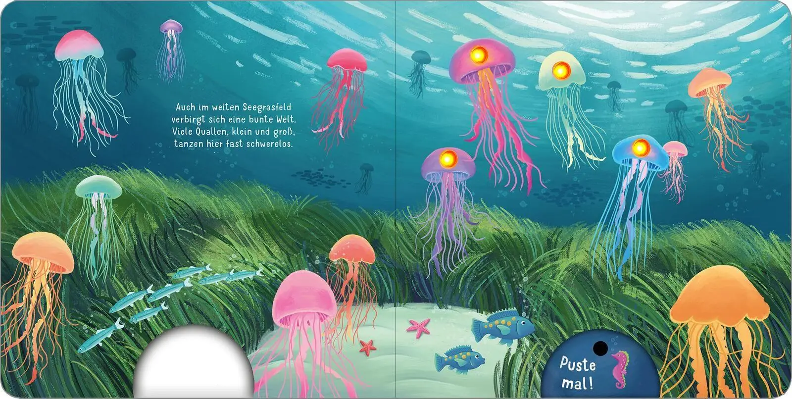 Bild: 9783845870489 | Mein liebstes Pustebuch - Unter Wasser | Pusten &amp; leuchten | Höck