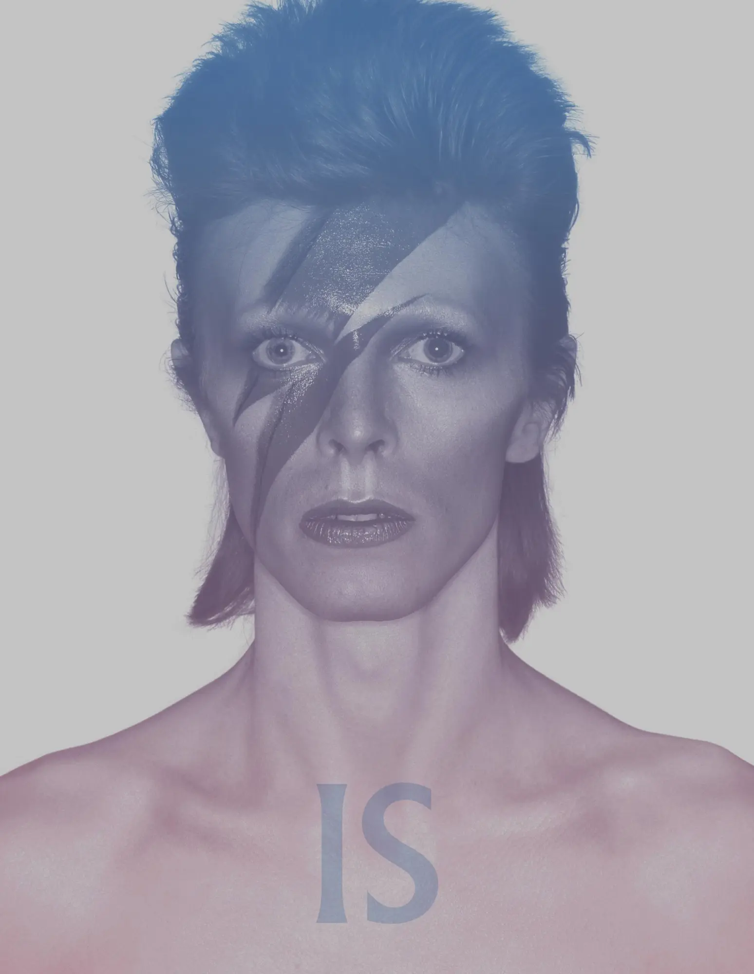 Cover: 9781838510589 | David Bowie Is | Victoria Broackes (u. a.) | Taschenbuch | Englisch