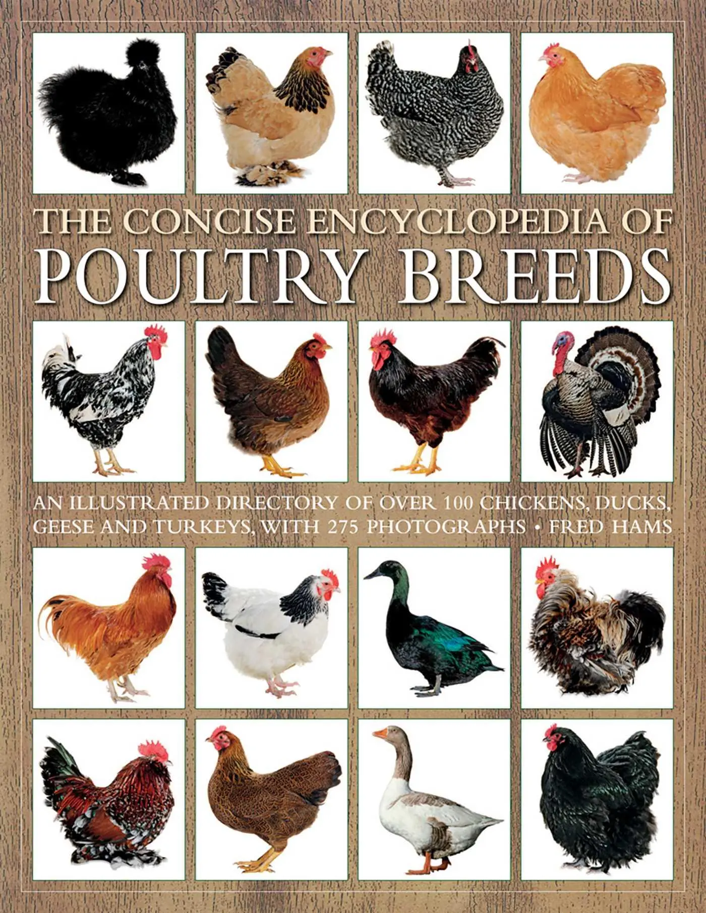Cover: 9781844760589 | CONCISE ENCY OF POULTRY BREEDS | Fred Hams | Taschenbuch | Englisch
