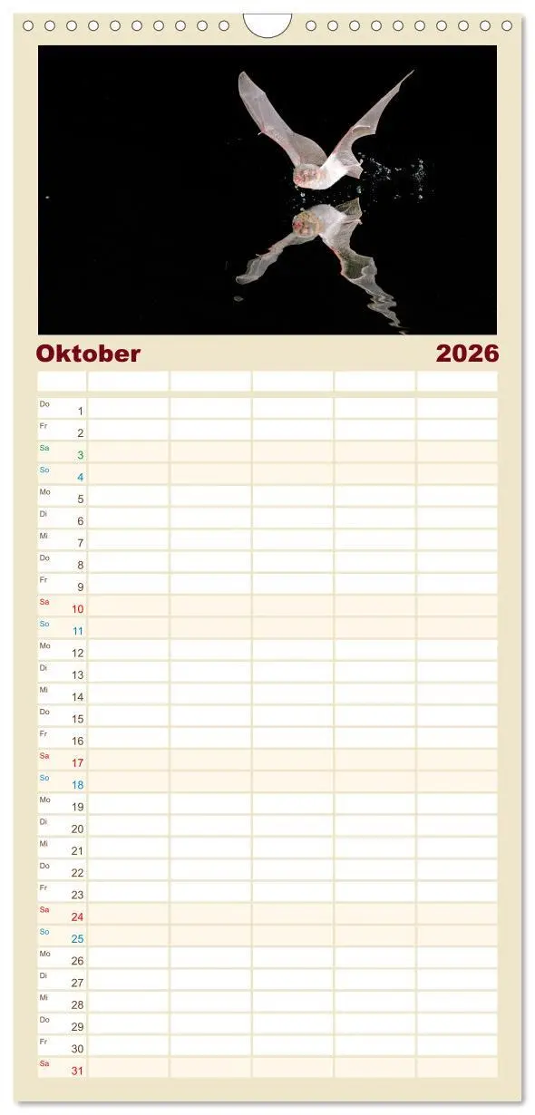 Bild: 9783516490589 | Familienplaner 2026 - Fledermäuse - kleine Vampire mit 5 Spalten...