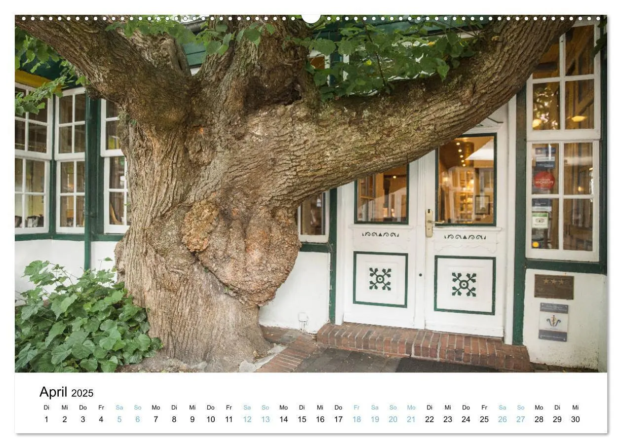 Bild: 9783435370689 | Lieblingsinsel Spiekeroog (hochwertiger Premium Wandkalender 2025...