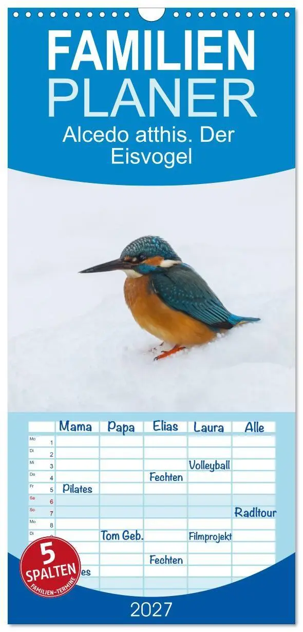 Familienplaner 2027 - Alcedo atthis. Der Eisvogel mit 5 Spalten (Wandkalender, 21 x 45 cm) CALVENDO