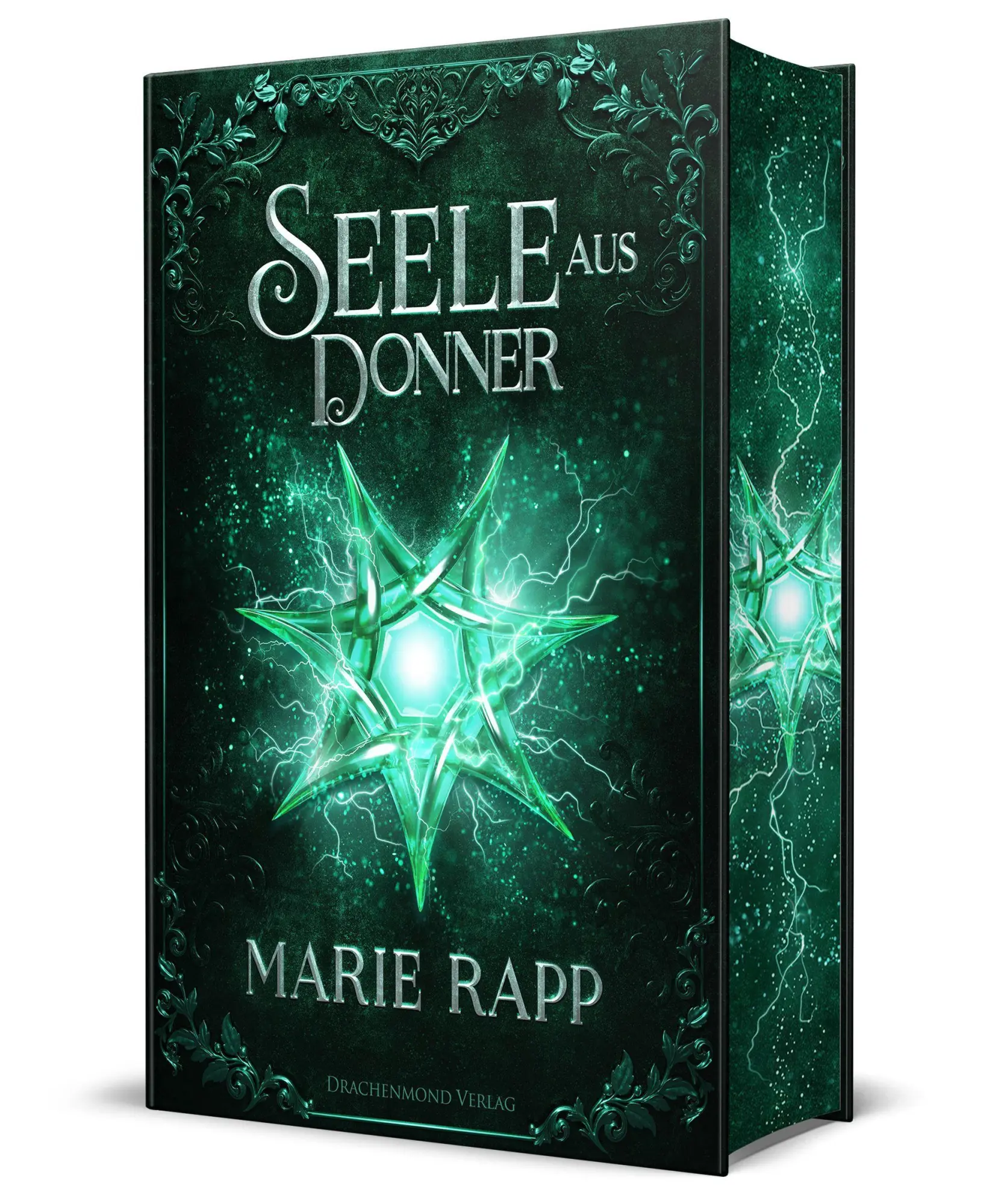 Cover: 9783691300789 | Seele aus Donner - Seelen-Saga 4 - Schmuckausgabe | Marie Rapp | Buch