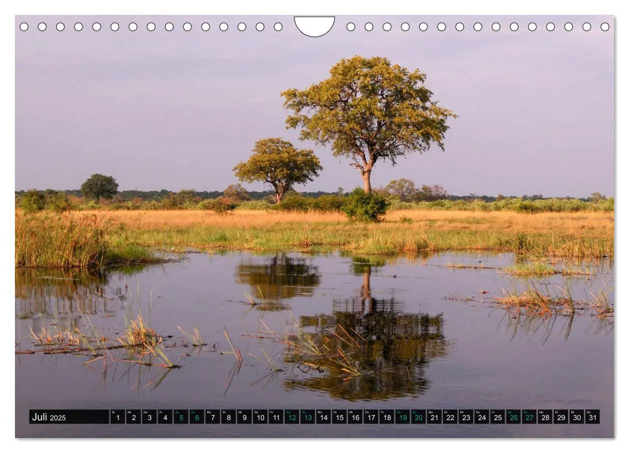 Bild: 9783435110889 | Namibia-Land der Sehnsucht (Wandkalender 2025 DIN A4 quer),...