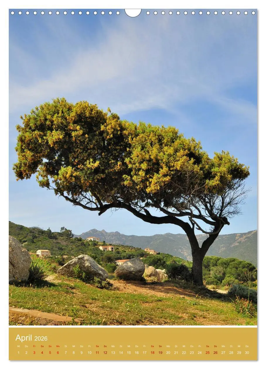 Bild: 9783516390889 | Korsika - Felsen und Meer (Wandkalender 2026 DIN A3 hoch), CALVENDO...