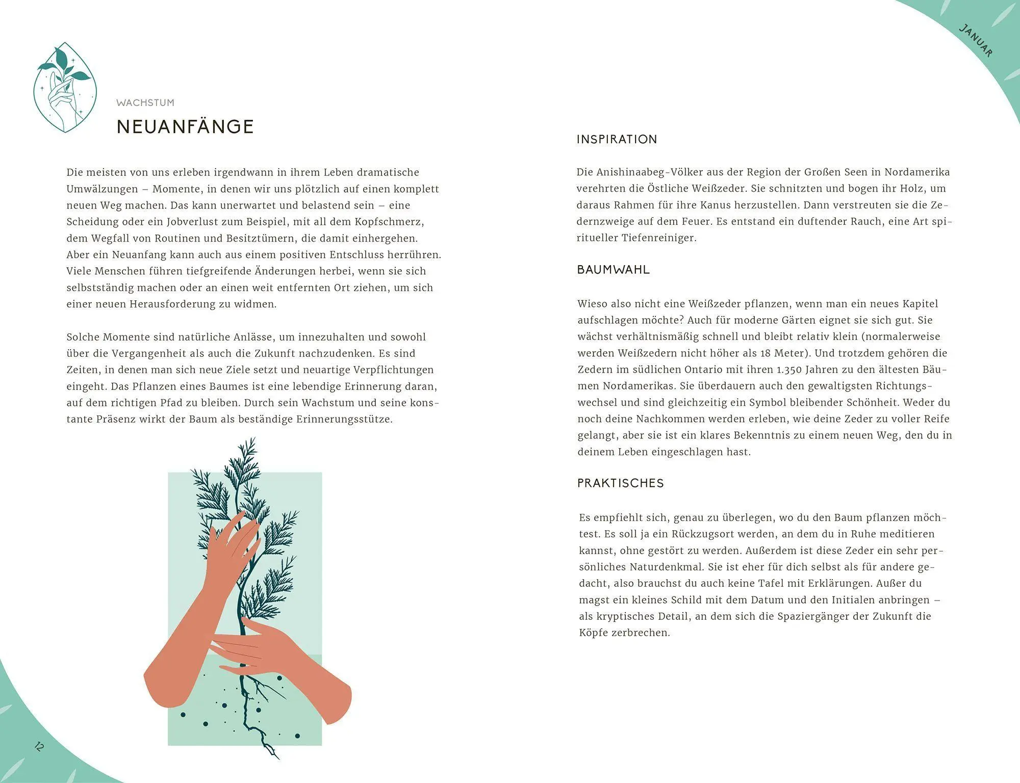 Bild: 9783989620889 | Mein Jahr mit der Natur | Leaping Hare | Buch | 288 S. | Deutsch
