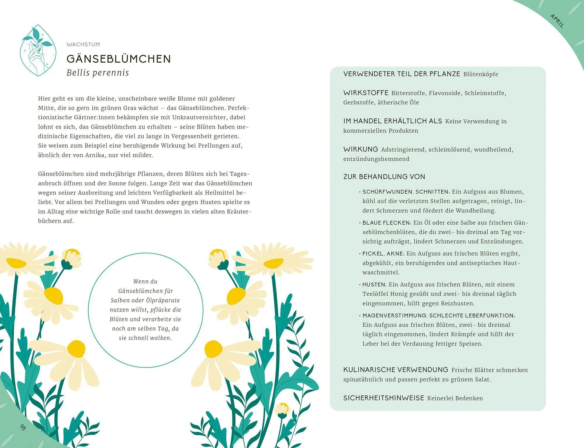 Bild: 9783989620889 | Mein Jahr mit der Natur | Leaping Hare | Buch | 288 S. | Deutsch